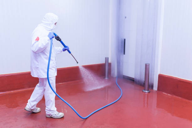 Boat and Dock Cleaning in Berrien Springs, MI